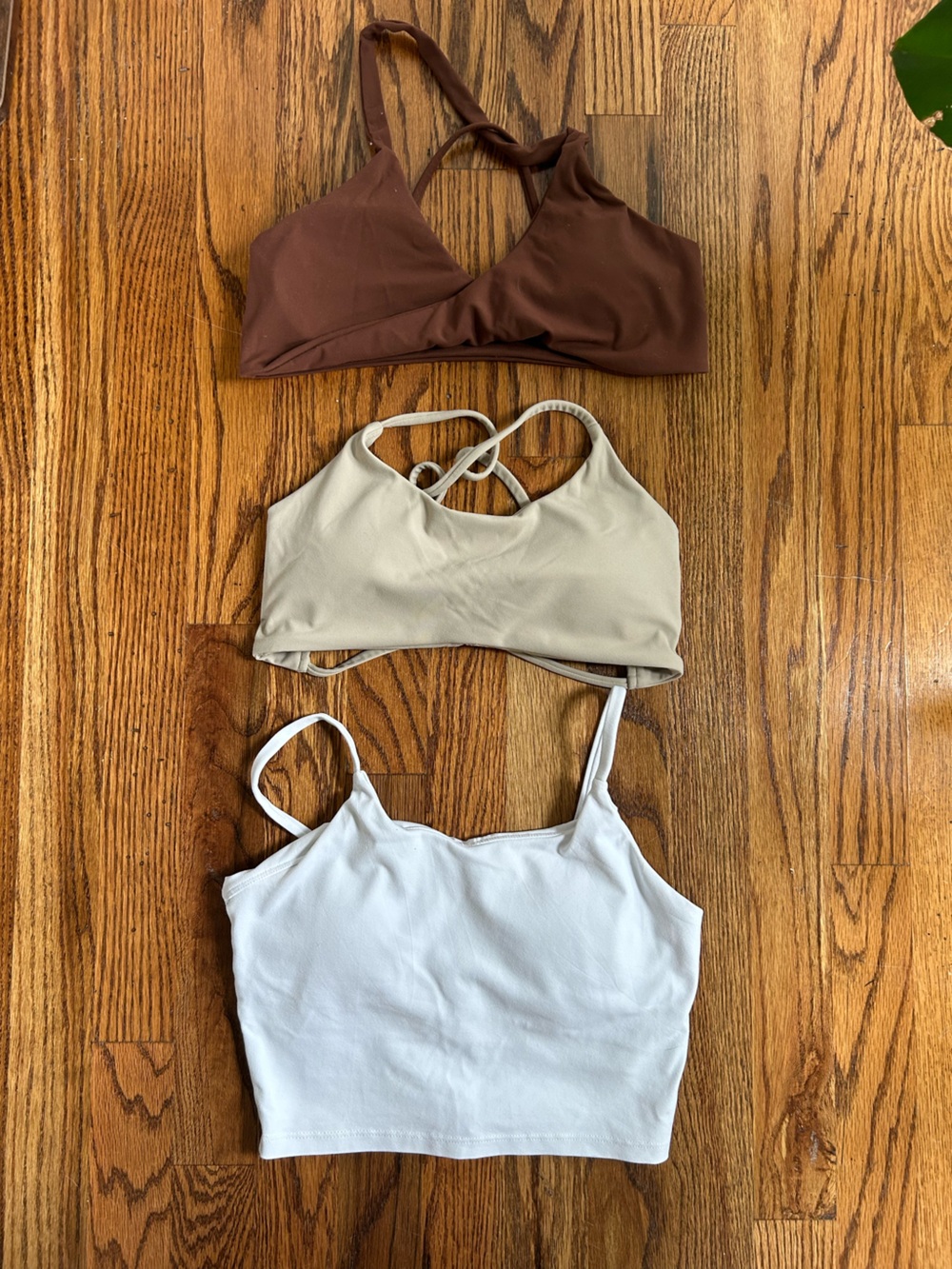 NWOT Everyday Strappy Bralette Trio — Brown, Cream, White